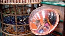 Jungle Play Centre