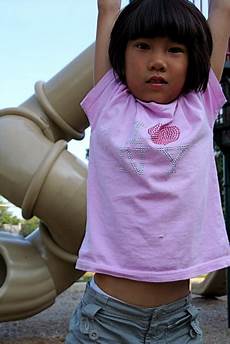 Monkey Bars Playground