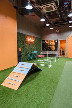 Play Area Bark