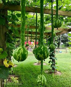 Pumpkin Patch Playground