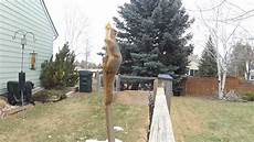 Squirrel Playground