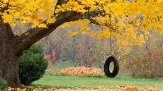 Swing Set With Trampoline