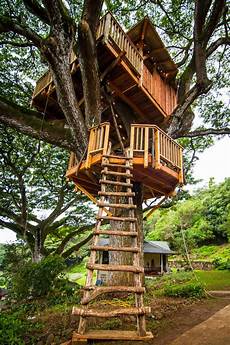Treehouse Playground