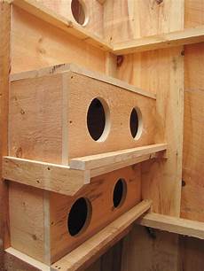 Wooden Play Equipment